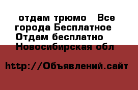 отдам трюмо - Все города Бесплатное » Отдам бесплатно   . Новосибирская обл.